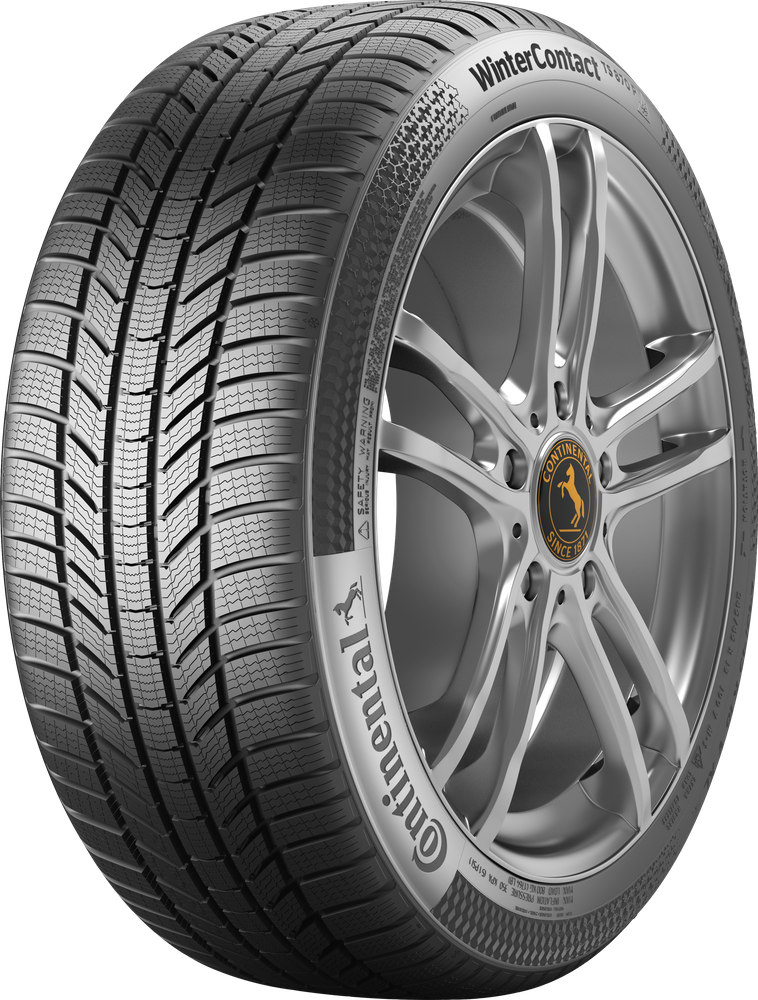 Continental Winter Contact TS 870 P 225/55 R19 99V